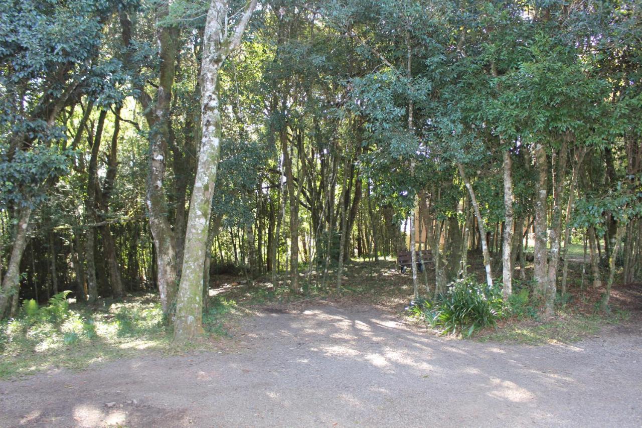 Pousada Floresta Negra Canela Buitenkant foto